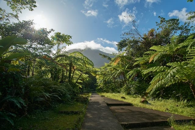 Oahu Attractions Hiking