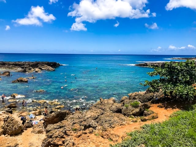 oahu sharks cove
