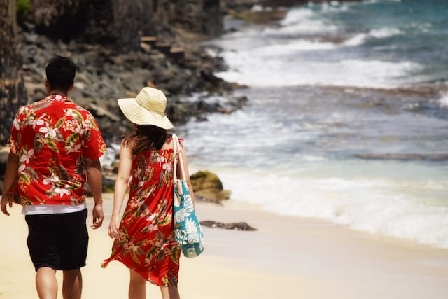 shark's cove oahu